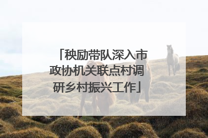 秧励带队深入市政协机关联点村调研乡村振兴工作